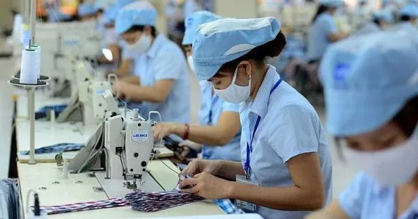 Deloitte: Bisnis Vietnam Perlu Perkuat Kapasitas Internal di Tengah Perubahan Regulasi dan Volatilitas Global
