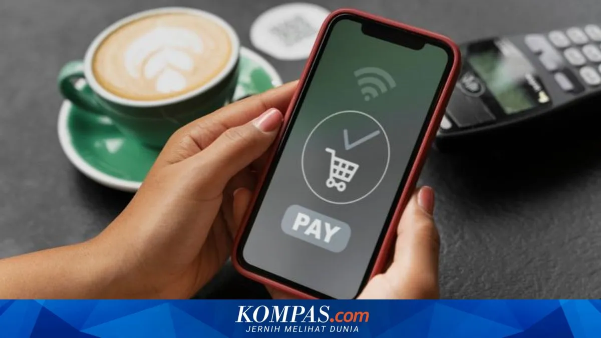 PayLater Dinilai Jadi Penolong Saat Mendesak, Namun Tetap Butuh Strategi Bayar