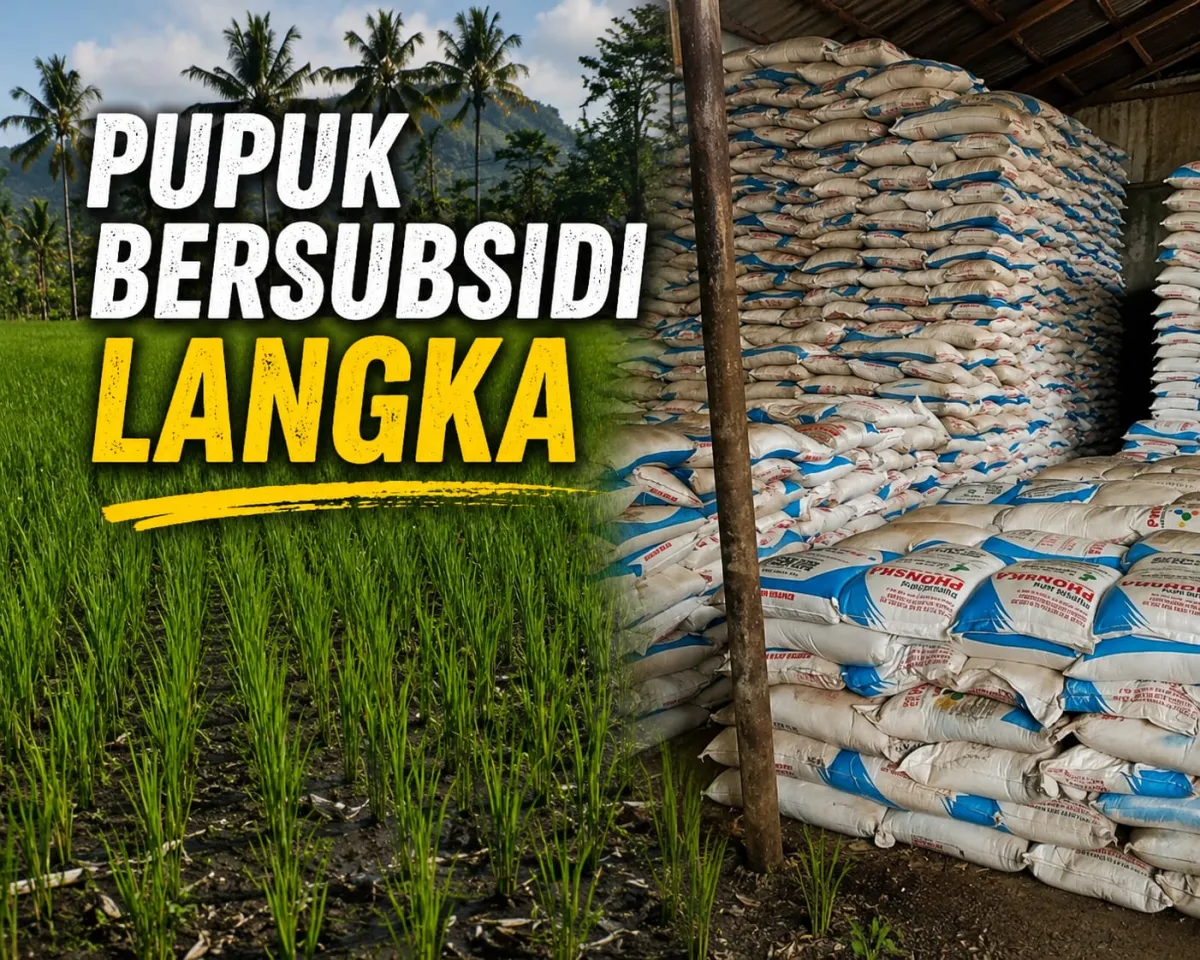 Perusda Pertanian Tapanuli Utara Jadi Sorotan, Publik Pertanyakan Peran dan Transparansi