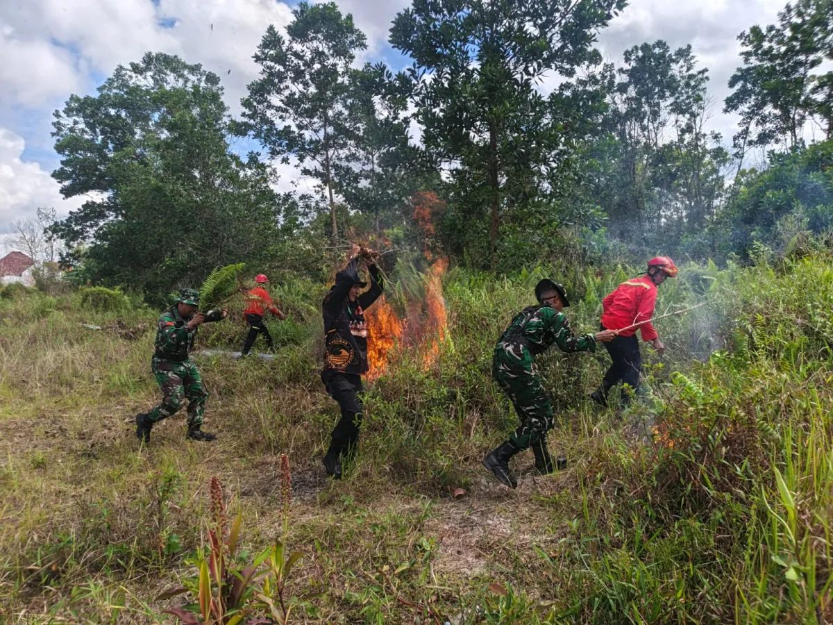 Kodim 1015/Sampit Gelar Latihan Siaga Karhutla, Libatkan BPBD hingga Manggala Agni