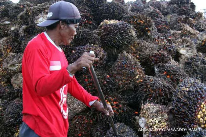PAEI: Pembentukan DSI Dinilai Bisa Perkuat Transparansi Ekspor dan Kepercayaan Investor