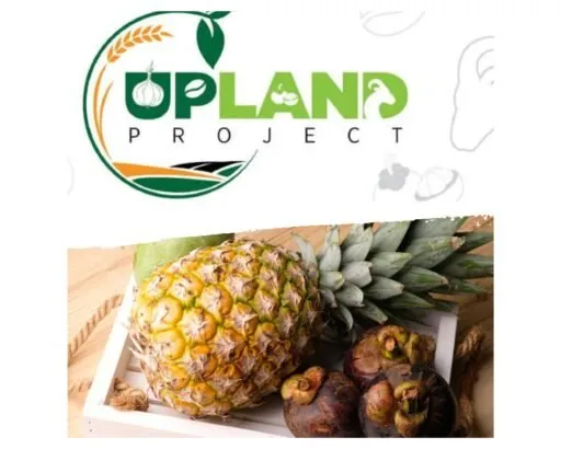Transparansi Program Upland di Subang Dipertanyakan, Dana Hibah Puluhan Miliar Jadi Sorotan