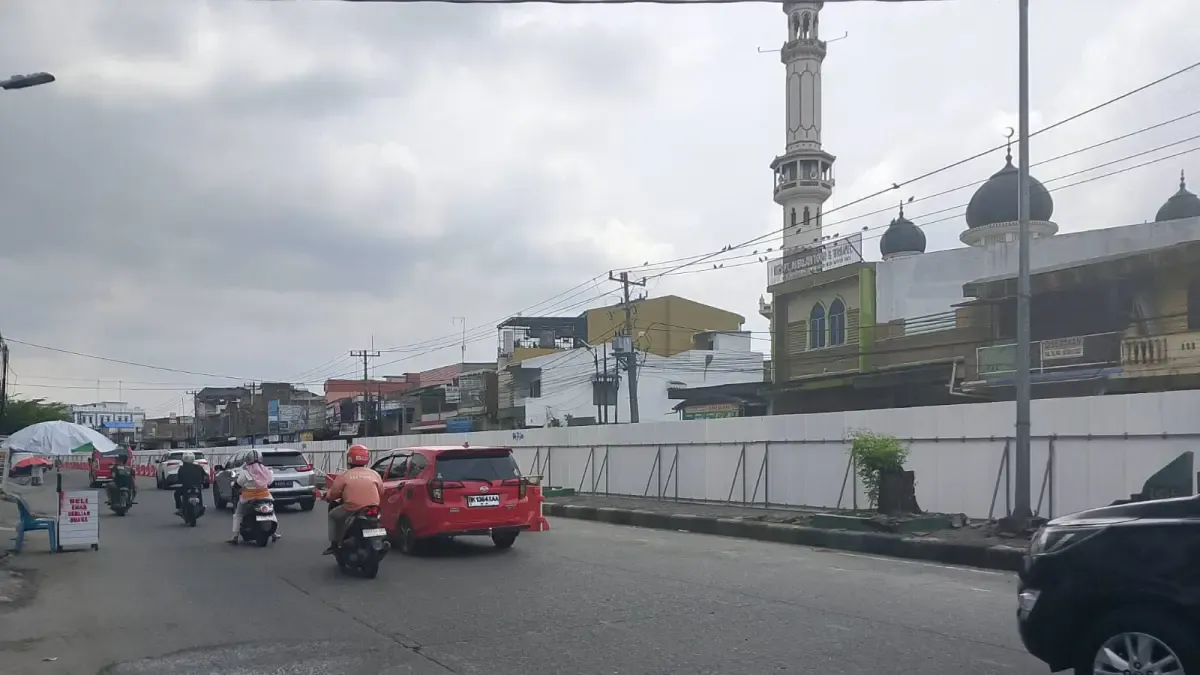 WALHI Sumut Kritik Penebangan Pohon untuk Halte BRT Mebidang di Jalan Sisingamangaraja Medan