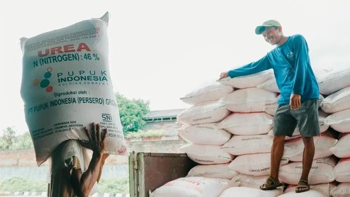 Konflik Global Dorong Kenaikan Harga Pupuk, Biaya Produksi Hortikultura Ikut Terdongkrak