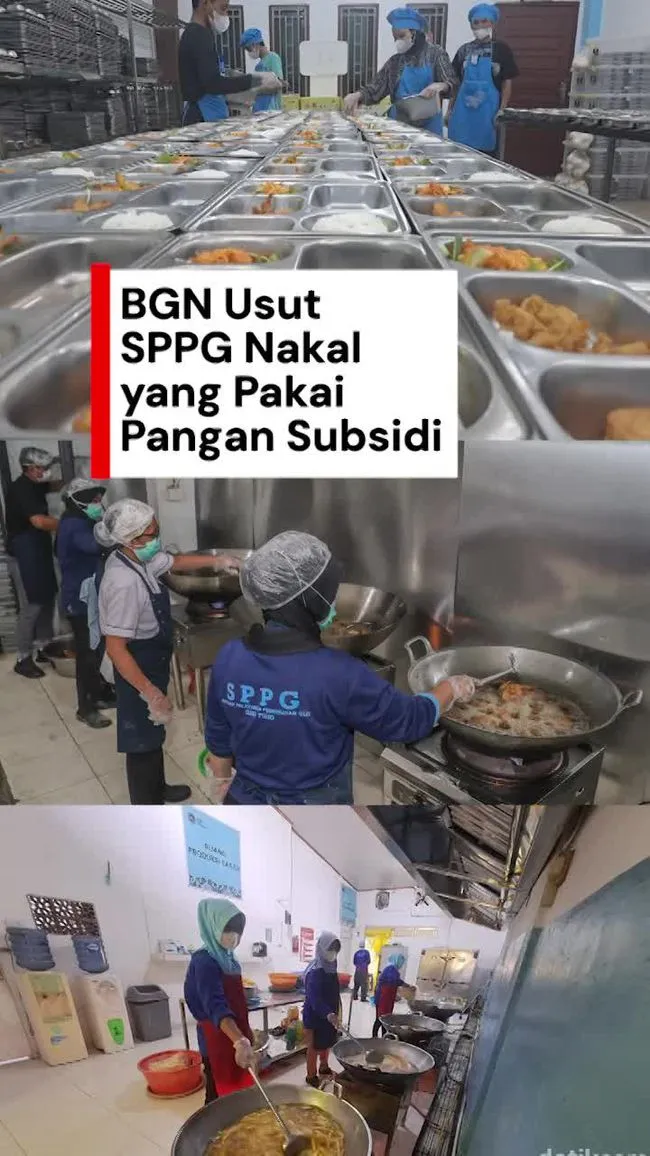 BGN Larang Dapur MBG Gunakan Bahan Pangan Bersubsidi, Siapkan Investigasi
