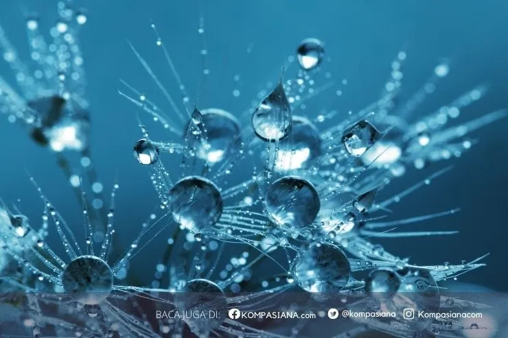 Kemajuan Teknologi dan Tantangan Etika Digital di Kalangan Generasi Z