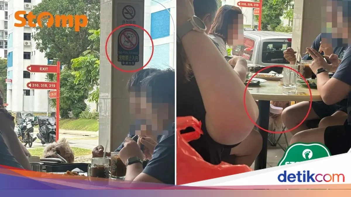 Dari Kuliner Baru Gading Serpong hingga Anjing Masuk Kafe: Mengapa Kita Heboh, dan Apa yang Sebenarnya Dipertaruhkan