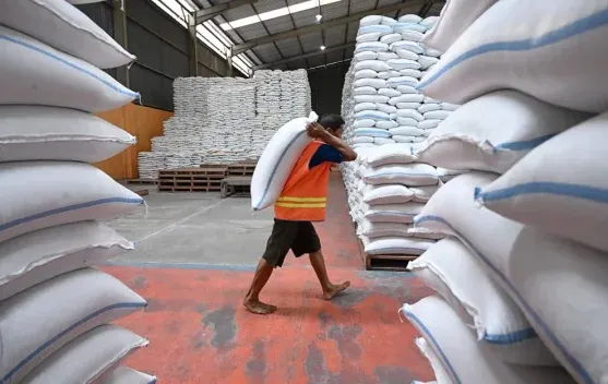 Amran Sulaiman: Stok Cadangan Beras Pemerintah 4,9 Juta Ton, Antisipasi El Nino hingga Enam Bulan