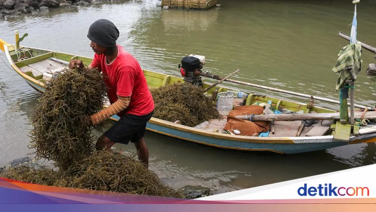 38 Riset Indonesia–Australia Tawarkan Solusi atas Ancaman Perubahan Iklim