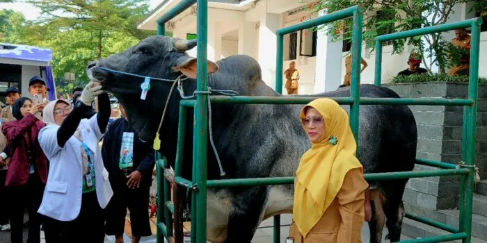 Pemkot Bandung Maksimalkan Aplikasi e-Selamat untuk Awasi Kesehatan Hewan Kurban Jelang Iduladha 2026
