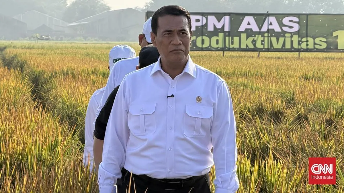 Beras Fortifikasi, Harga yang Melonjak, dan Rasa Aman yang Terkikis