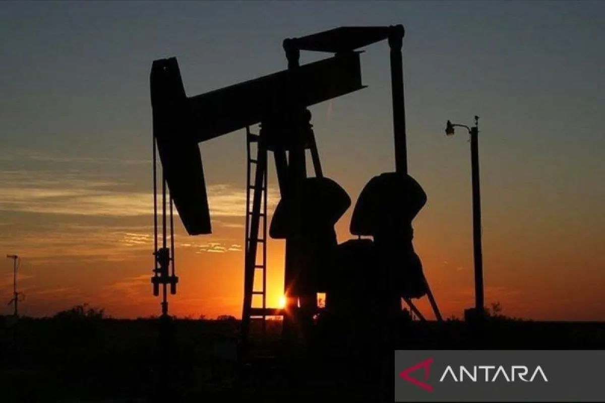 Rusia Tegaskan Kesiapan Pasok Minyak dan Gas ke Indonesia Meski Ada Sanksi Uni Eropa