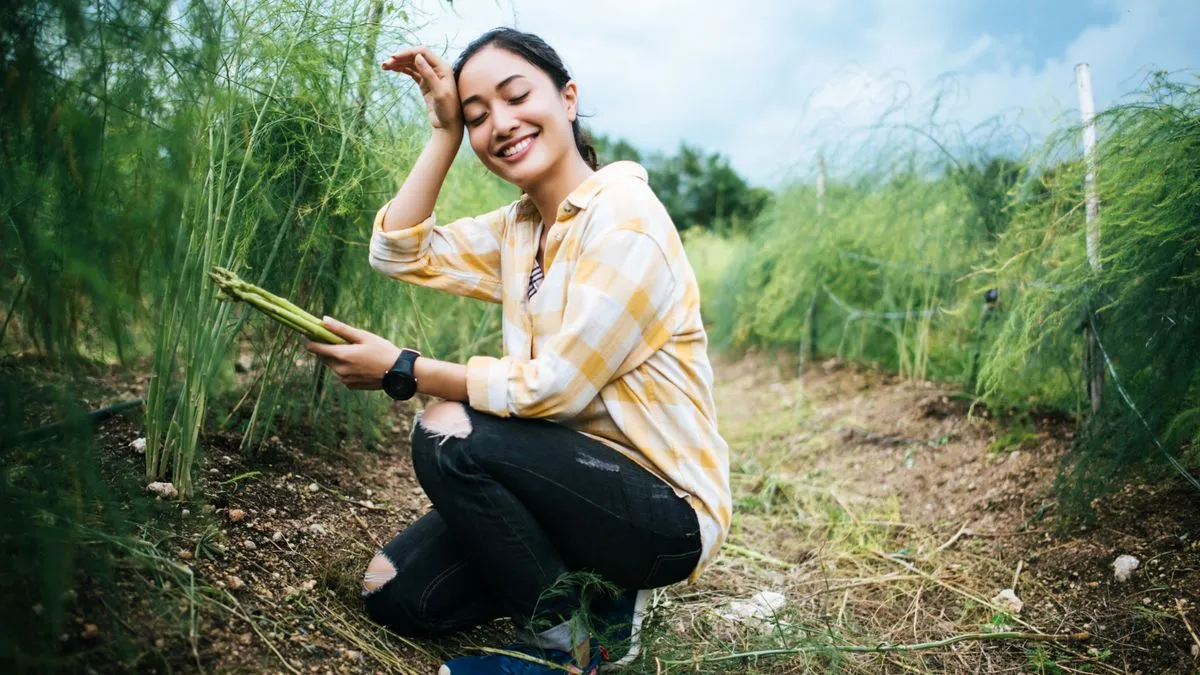 Tautan Pendaftaran Petani Milenial 2026 Bergaji Rp 10 Juta Disebut Hoaks dan Modus Pencurian Data