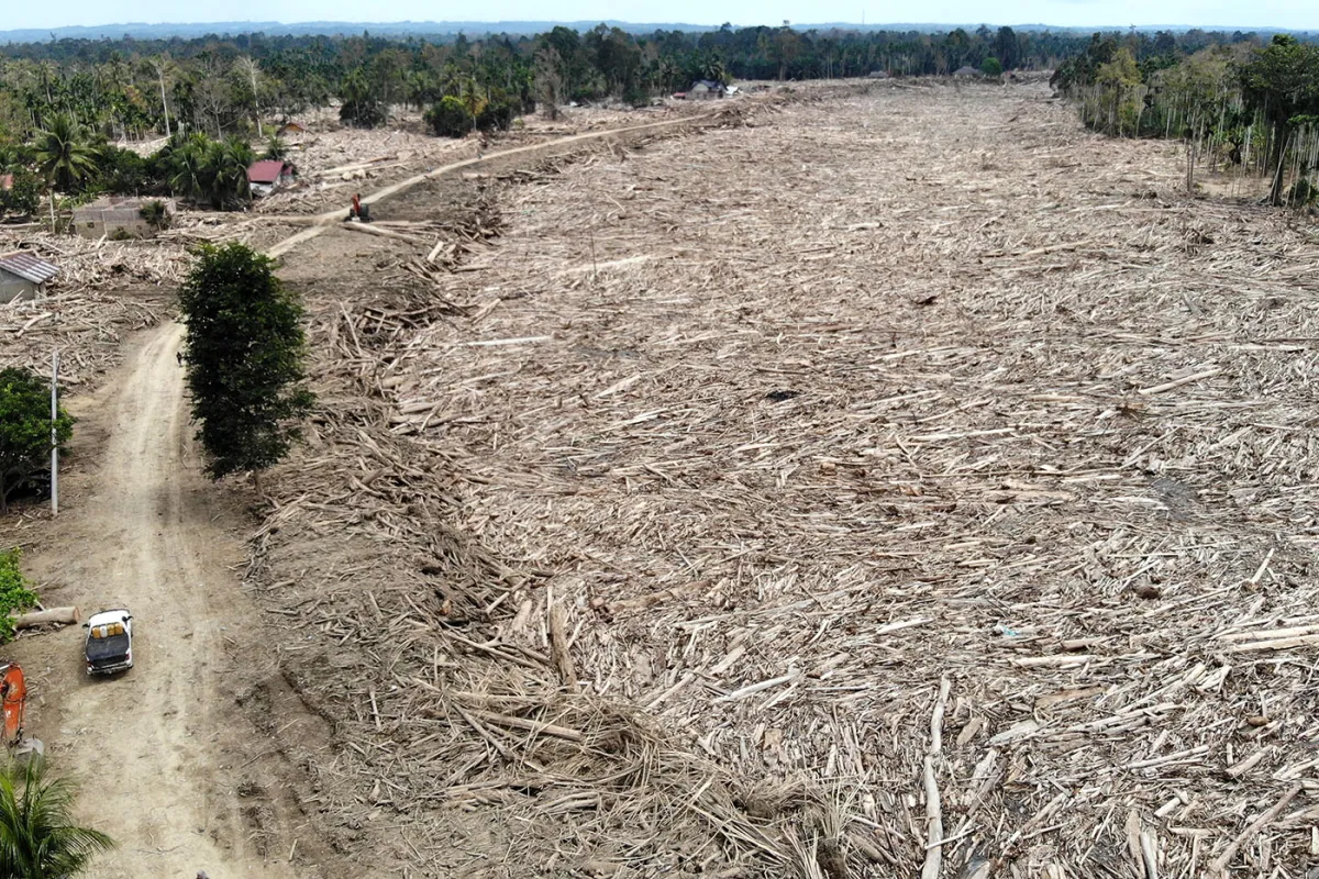Kajian Pemerintah: Tekanan di Kawasan Lindung Dinilai Memperparah Dampak Bencana Hidrometeorologi di Sumatera