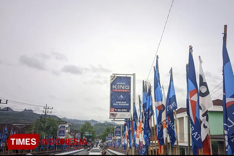 Bendera Demokrat Banyak Terpasang di Pacitan, Warga Nilai Jadi Pertanda Optimisme Menjelang Pemilu 2024