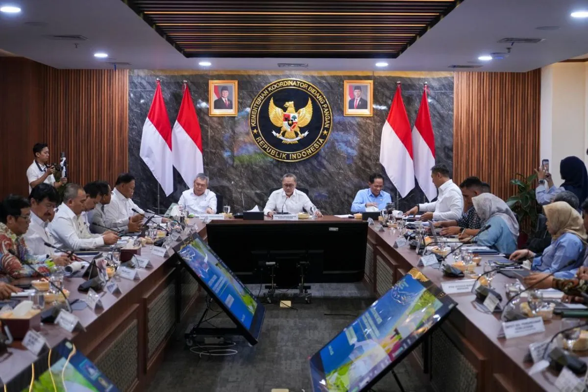 Wamen ATR/BPN Laporkan Progres Dukungan KSPEAN Papua Selatan dalam Rakortas Pangan
