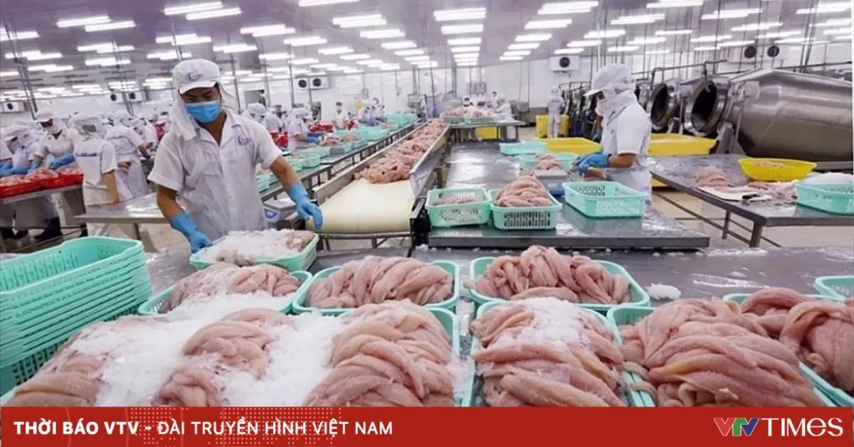 Ekspor Hasil Laut Vietnam Naik 11% dalam Lima Bulan, Transparansi Asal Produk Jadi Kunci Hadapi Regulasi