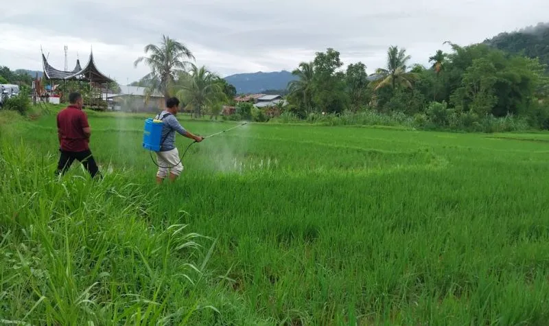 Menteri ATR/BPN dan Mendagri Terbitkan SEB untuk Percepat Integrasi LP2B ke RTRW dan RDTR Daerah
