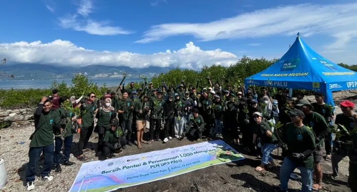 PLN UP3 Palu Tanam 1.000 Mangrove di Pantai Dupa untuk Pemulihan Pesisir Teluk Palu