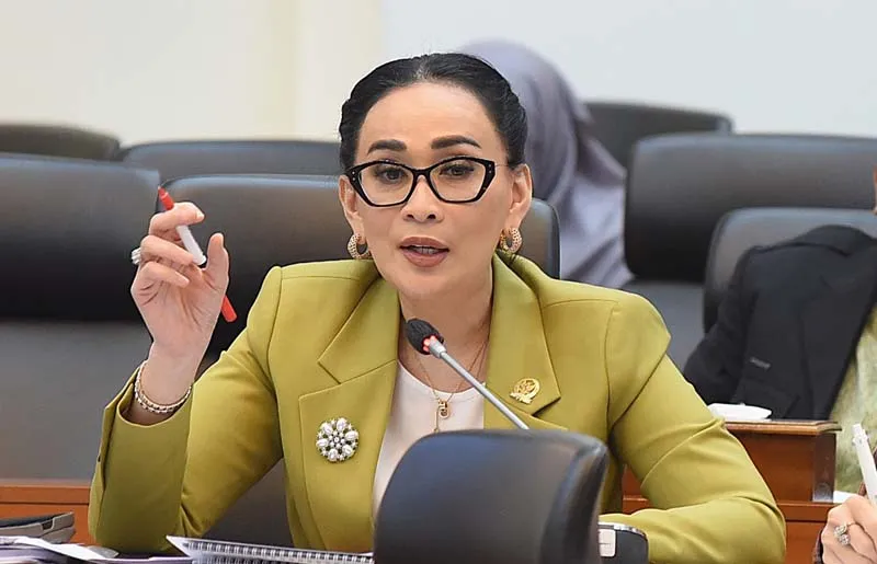 Amelia Anggraini Minta Pemerintah Perkuat Diplomasi Preventif di Tengah Ketegangan Selat Hormuz