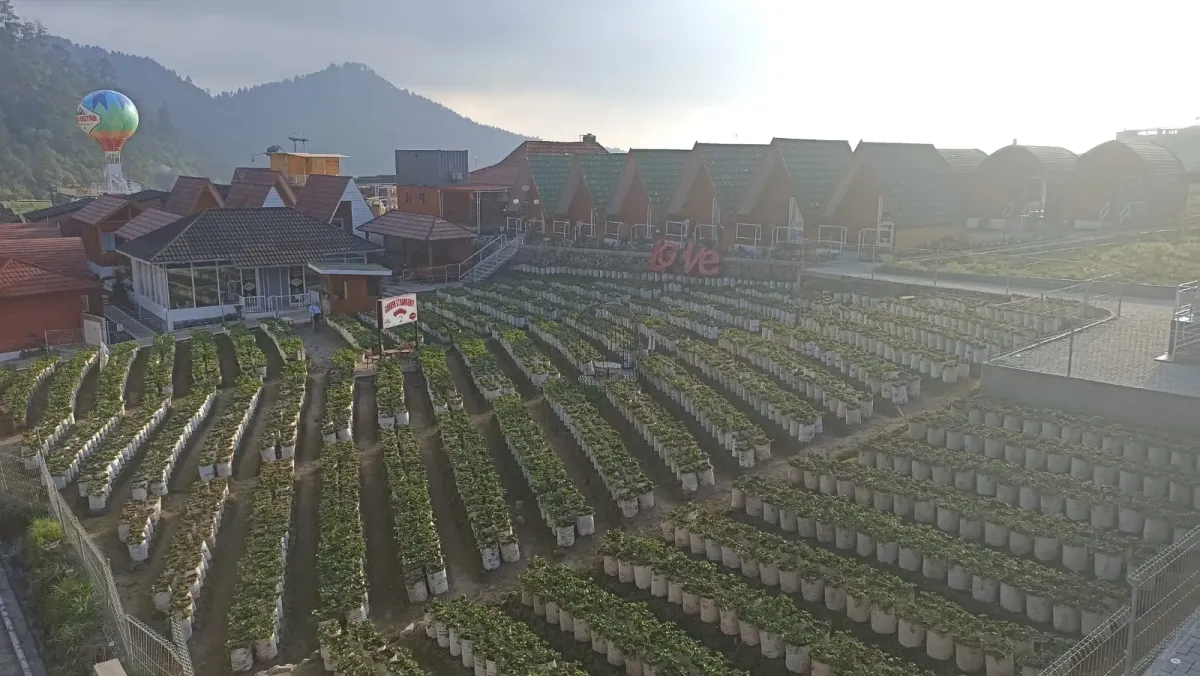 Pemkab Karanganyar Kaji Relaksasi Pajak bagi Usaha Wisata di Tengah Tekanan Ekonomi