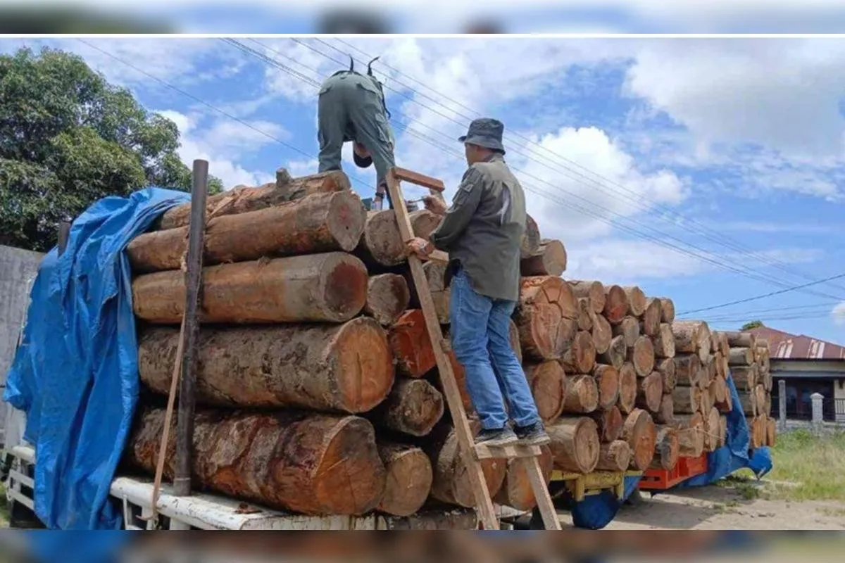 Revisi UU Kehutanan: PDIP Dorong Reklamasi Ketat dan Transparansi Sewa Lahan Tambang