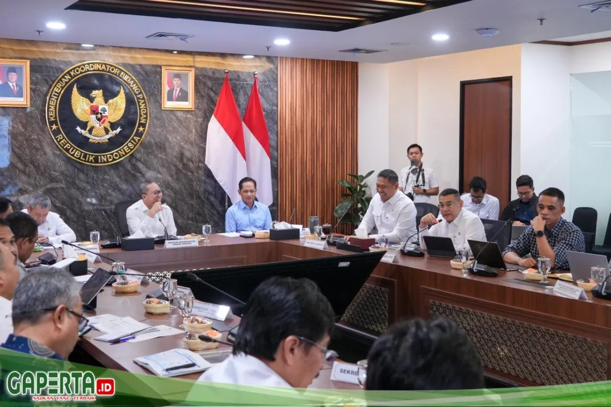 Wamen ATR/BPN Paparkan Progres Tata Ruang dan Perizinan untuk PSN KSPEAN di Papua Selatan
