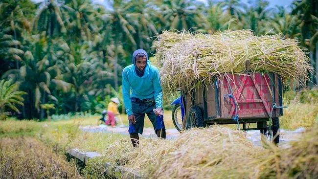 Satu Tahun PP 47/2024: Upaya Menguatkan Sistem Ekonomi Rakyat
