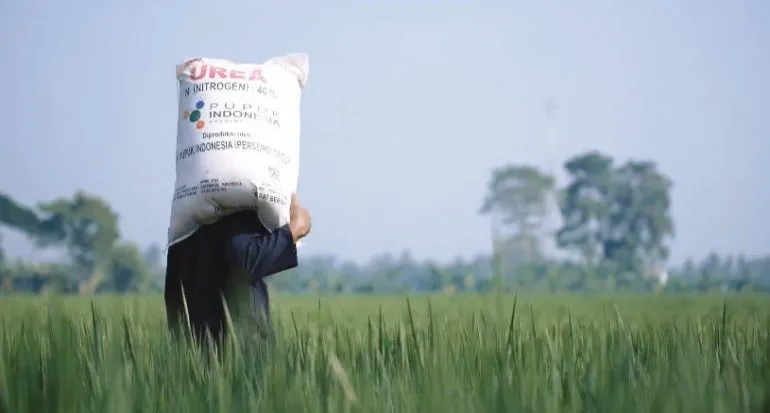 Pemerintah Turunkan Harga Pupuk Bersubsidi 20% di Tengah Kenaikan Harga Global