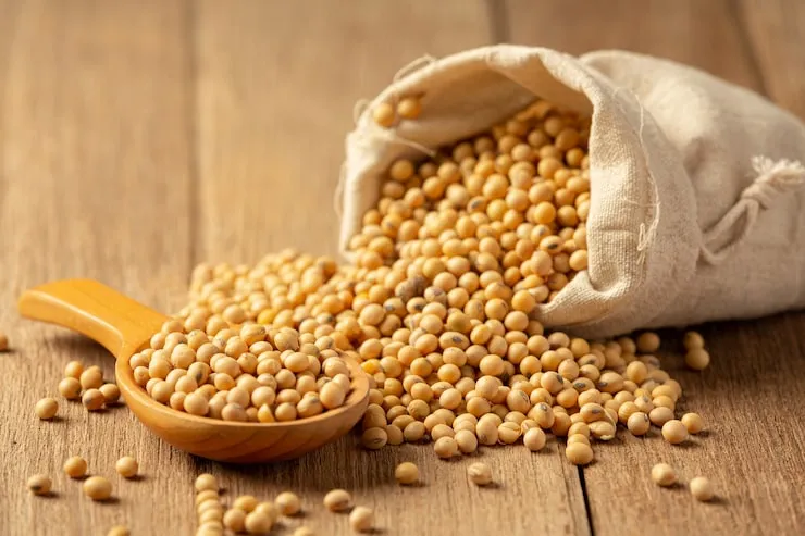 Kedelai dan Biji Chia, Pilihan Makanan Kaya Magnesium untuk Menu Harian