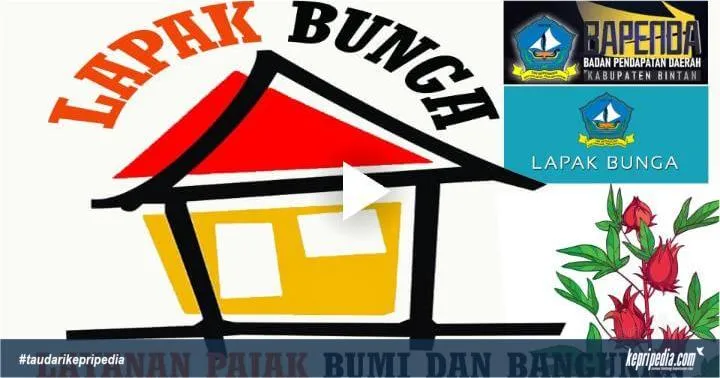 PBB 2026 di Bintan Kini Bisa Dibayar Online lewat Aplikasi LAPAK BUNGA