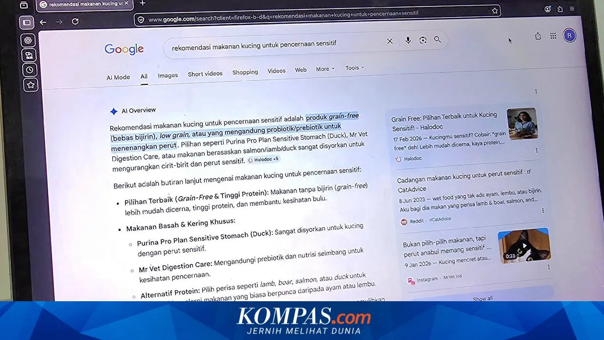 Google Perbarui AI Overviews dengan Fitur “Expert Advice” yang Menampilkan Opini dan Ulasan Pengguna