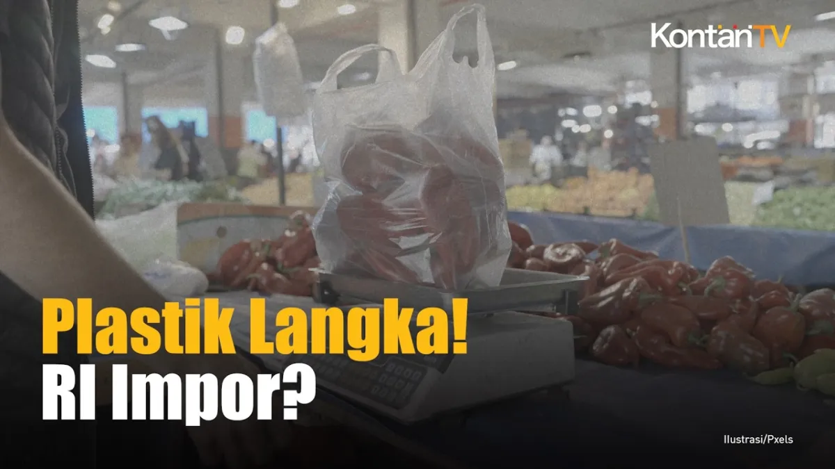 Pemerintah Jajaki Impor Plastik Kemasan Beras dari Malaysia di Tengah Gangguan Pasokan Global