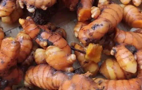 Kunyit, Rempah yang Kerap Diolah Jadi Minuman Herbal dan Terus Diteliti Manfaatnya