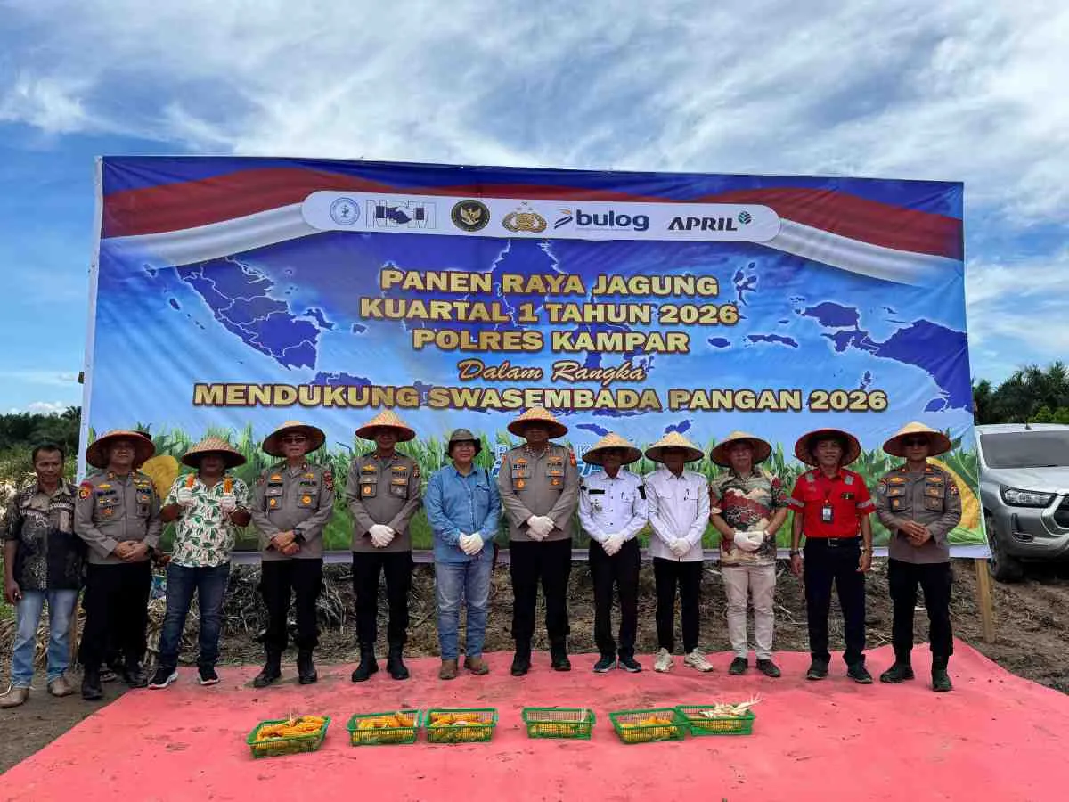 Panen Raya Jagung di Kampar, Kolaborasi Polres dan Perusahaan Dukung Swasembada Pangan