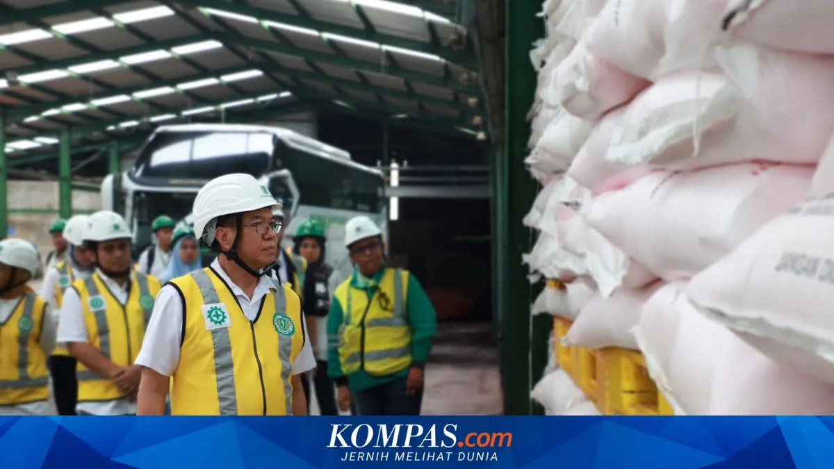 Pemerintah Pangkas Harga Pupuk Subsidi 20 Persen di Tengah Krisis Urea Global