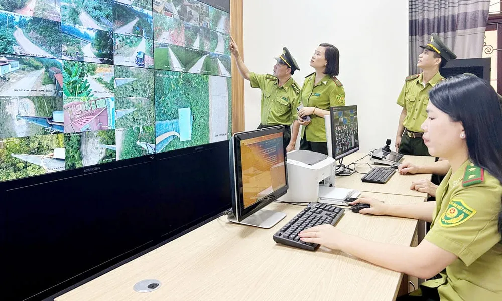 Pemantauan Cerdas Perkuat Perlindungan Hutan lewat Kamera Pintar dan Aplikasi Digital