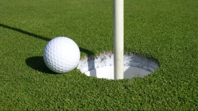 Status Pajak Lapangan Golf Senayan Avenue by Ottolima Disorot, Pakar Minta Evaluasi Tata Kelola Aset