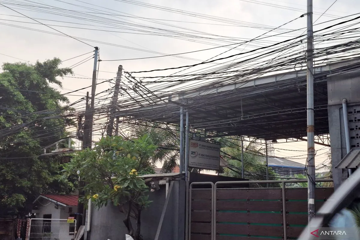 PLN Watch Minta Penindakan Perusahaan Internet yang Pasang Kabel di Tiang PLN Tanpa Izin