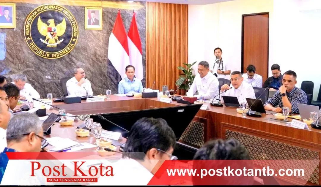 Wamen ATR/BPN Laporkan Progres Dukungan KSPEAN Papua Selatan, Fokus pada Tata Ruang dan Perizinan