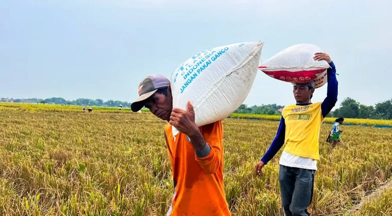 Pemerintah Wajibkan Daerah Integrasikan LP2B ke Tata Ruang untuk Cegah Alih Fungsi Sawah