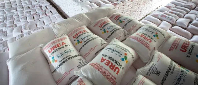 Pemerintah Percepat Mitigasi Pupuk Subsidi di Tengah Gejolak Konflik Global