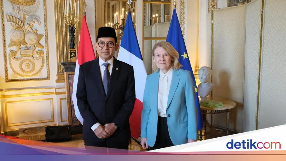 Fadli Zon Bertemu Menteri Kebudayaan Prancis, Dorong Kerja Sama Budaya yang Lebih Konkret