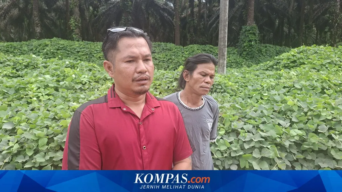 Warga Seruyan Tengah Pertanyakan Penyitaan Lahan Sawit PT BJAP, Diduga Ikut Menyasar Kebun Milik Masyarakat