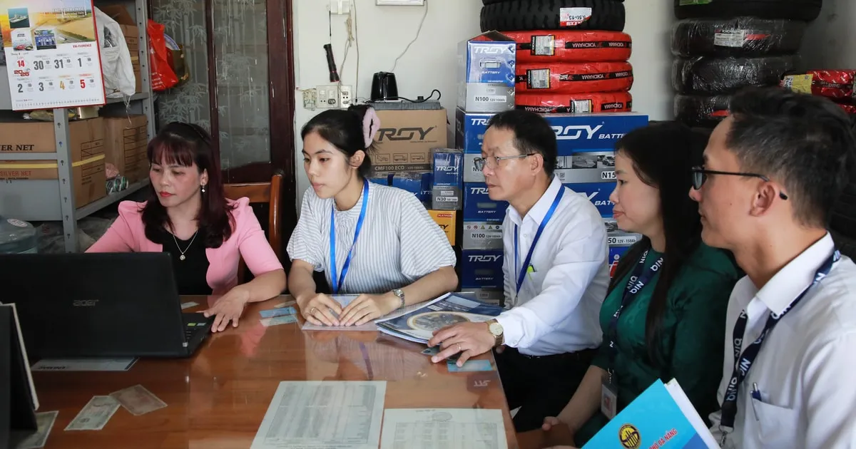 Da Nang Gelar Pekan Puncak Deklarasi untuk Sensus Ekonomi 2026