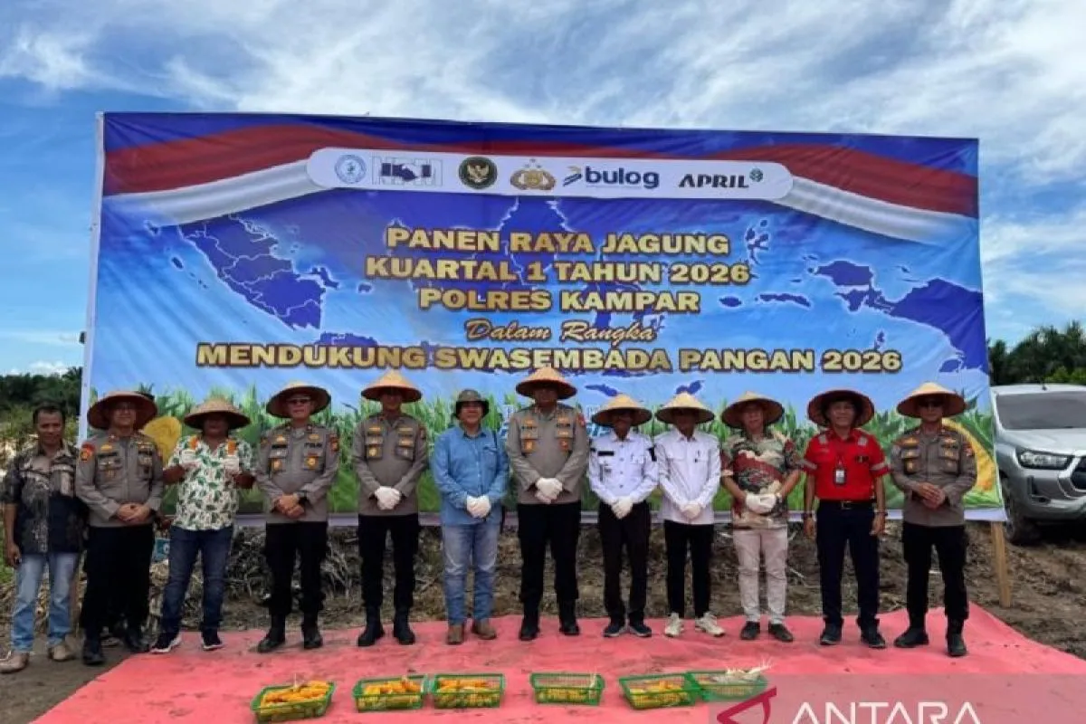 Panen Raya Jagung di Kampar, Polres Kampar Gandeng Perusahaan dan LPHD Dukung Swasembada Pangan