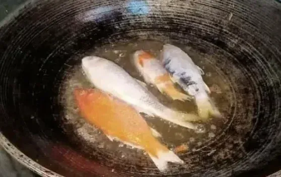 Ikan Loi Jadi Pilihan Pangan Harian, Sumber Protein dan Gizi bagi Masyarakat Pesisir