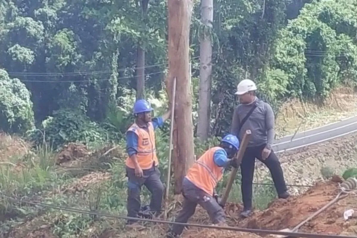 PLN Tangani Cepat Gangguan Jaringan di Halmahera Selatan, Tegaskan Layanan Tambah Daya Transparan via PLN Mobile