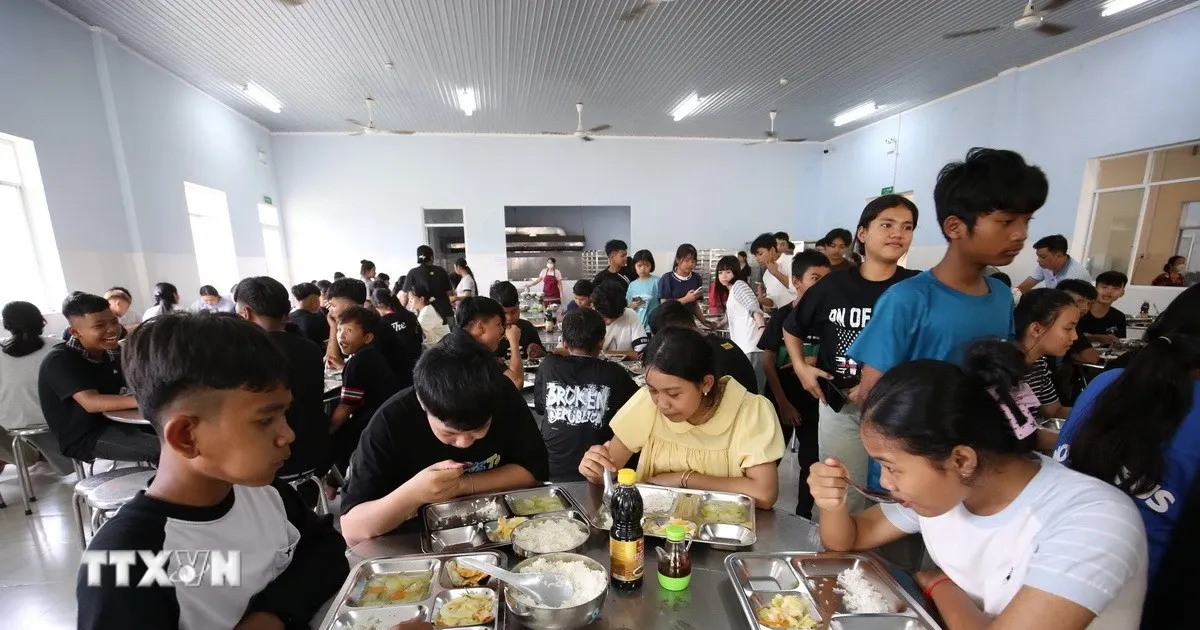 Tay Ninh Perketat Keamanan Pangan Sekolah, Wajibkan Publikasi Harian Menu dan Sumber Makanan