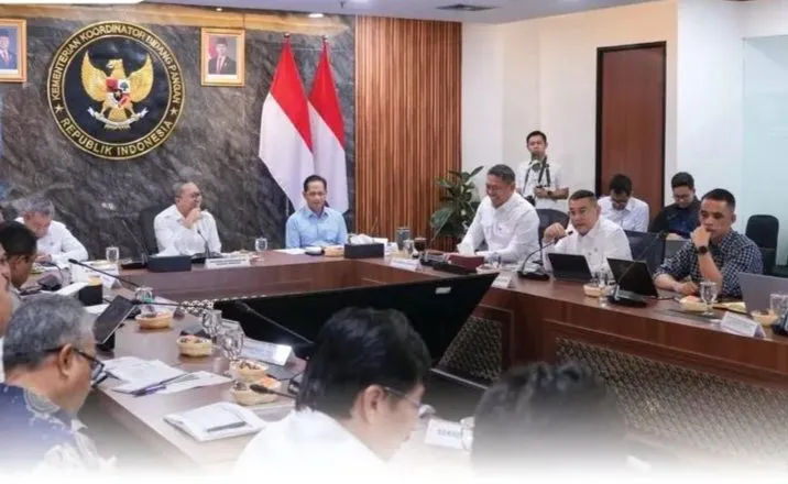 Wamen ATR/BPN Paparkan Progres Penyesuaian Tata Ruang untuk KSPEAN Papua Selatan